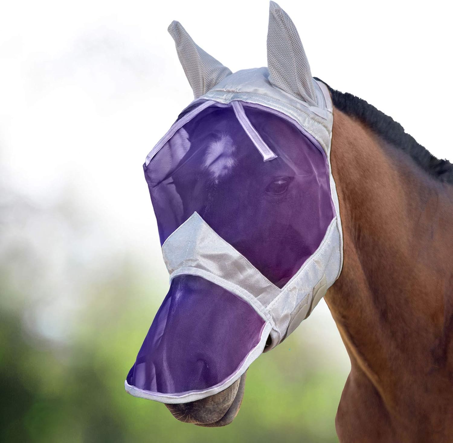 Side profile of Harrison Howard full face horse fly mask