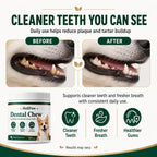 Authentic USA imported premium pet teeth cleaning chews