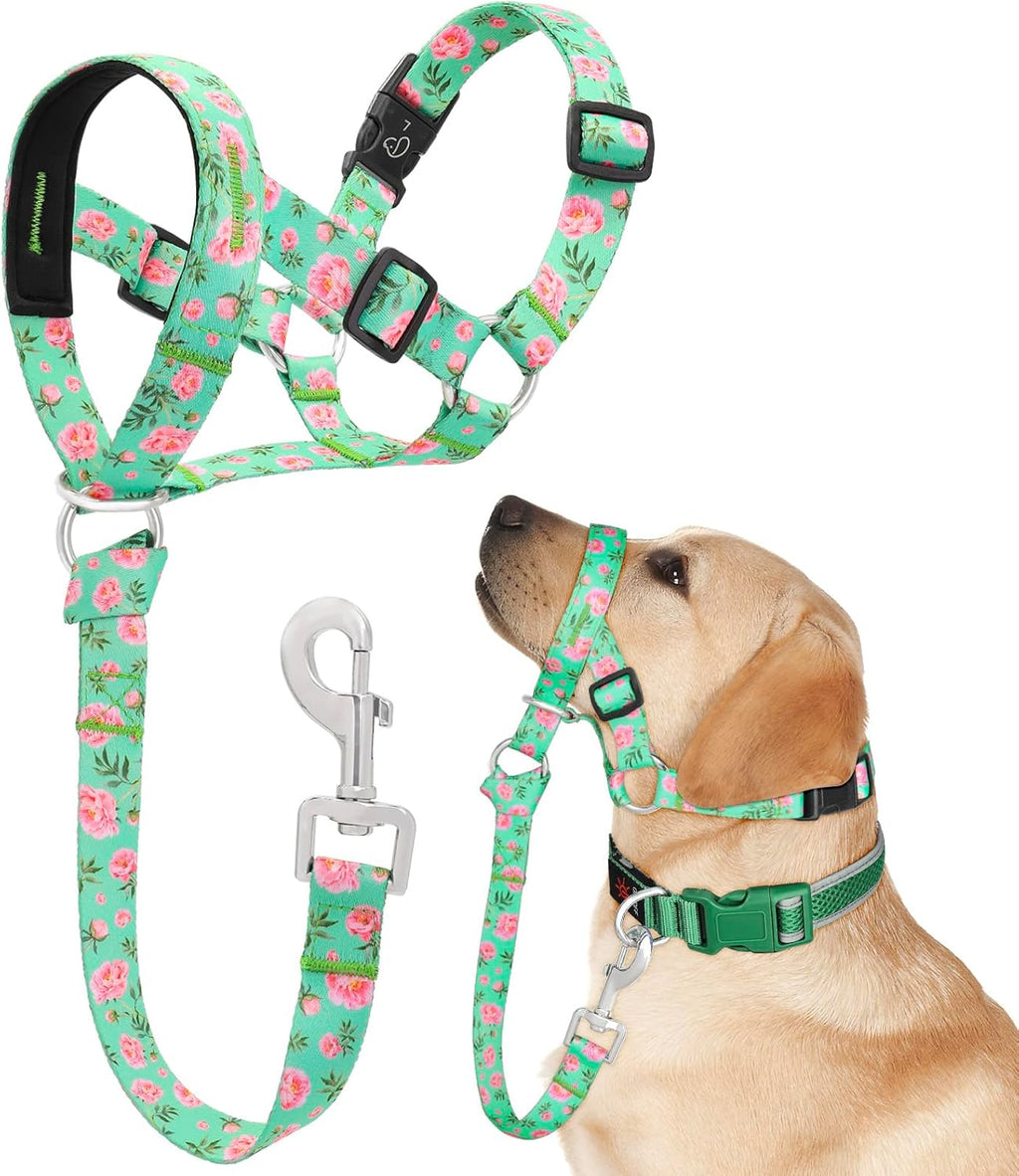 Adjustable strap features on Ezierfy dog face harness