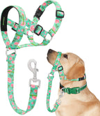 Adjustable strap features on Ezierfy dog face harness