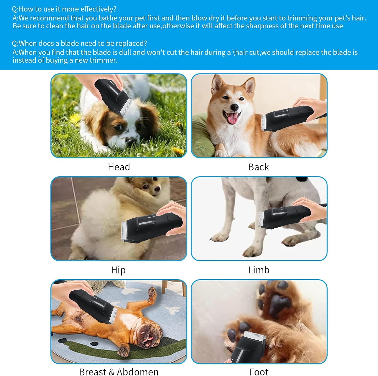 Dodaer pet clipper blade size number 10 showing durable cutting edge construction