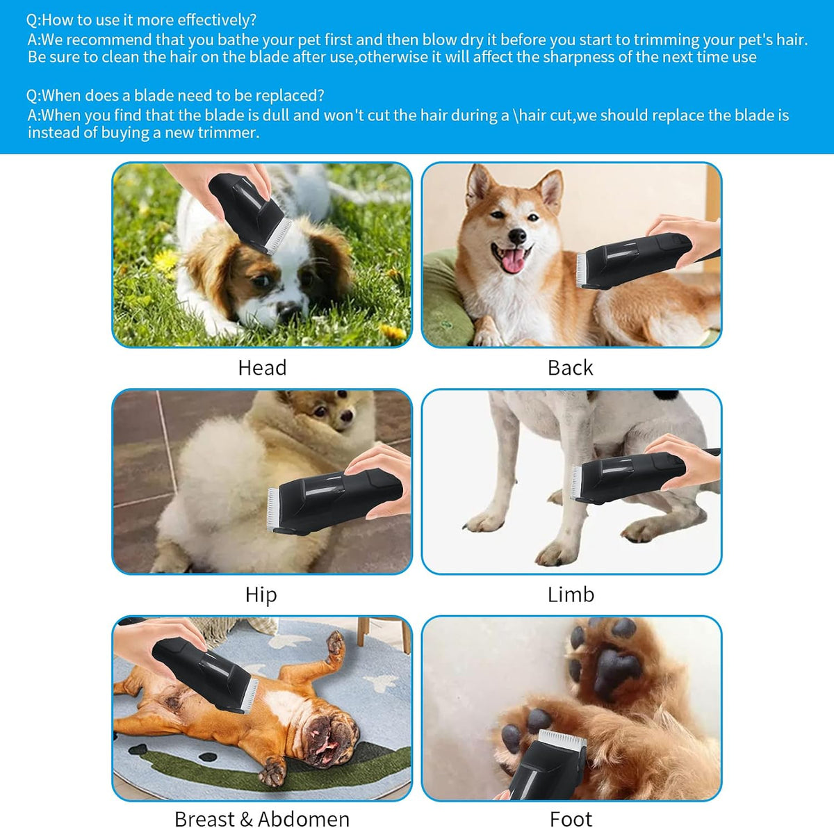 Dodaer pet clipper blade size number 10 showing durable cutting edge construction