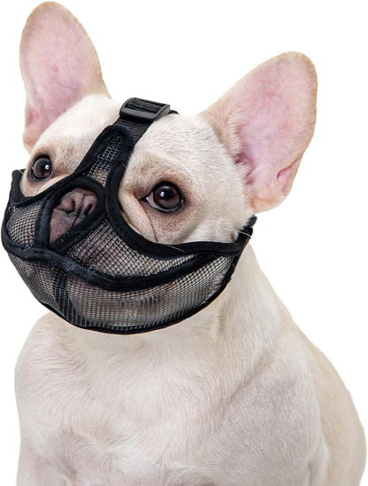 OHCOZZY short snout dog muzzle front view on a french bulldog