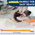 Small and large brush head comparison for pet cleaning