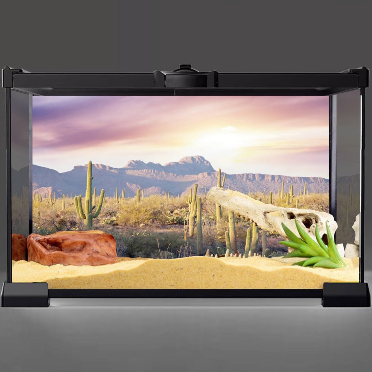 AWERT desert cactus terrarium background mounted on a forty-eight by eighteen inch reptile enclosure