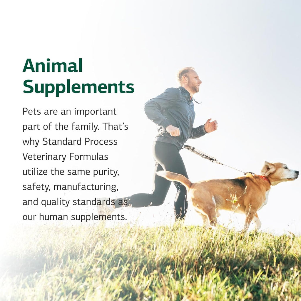 Standard Process cat digestive tract support supplement bottle side view