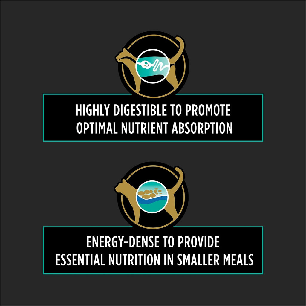 Pro Plan Veterinary Diets EN Gastroenteric wet cat food texture view