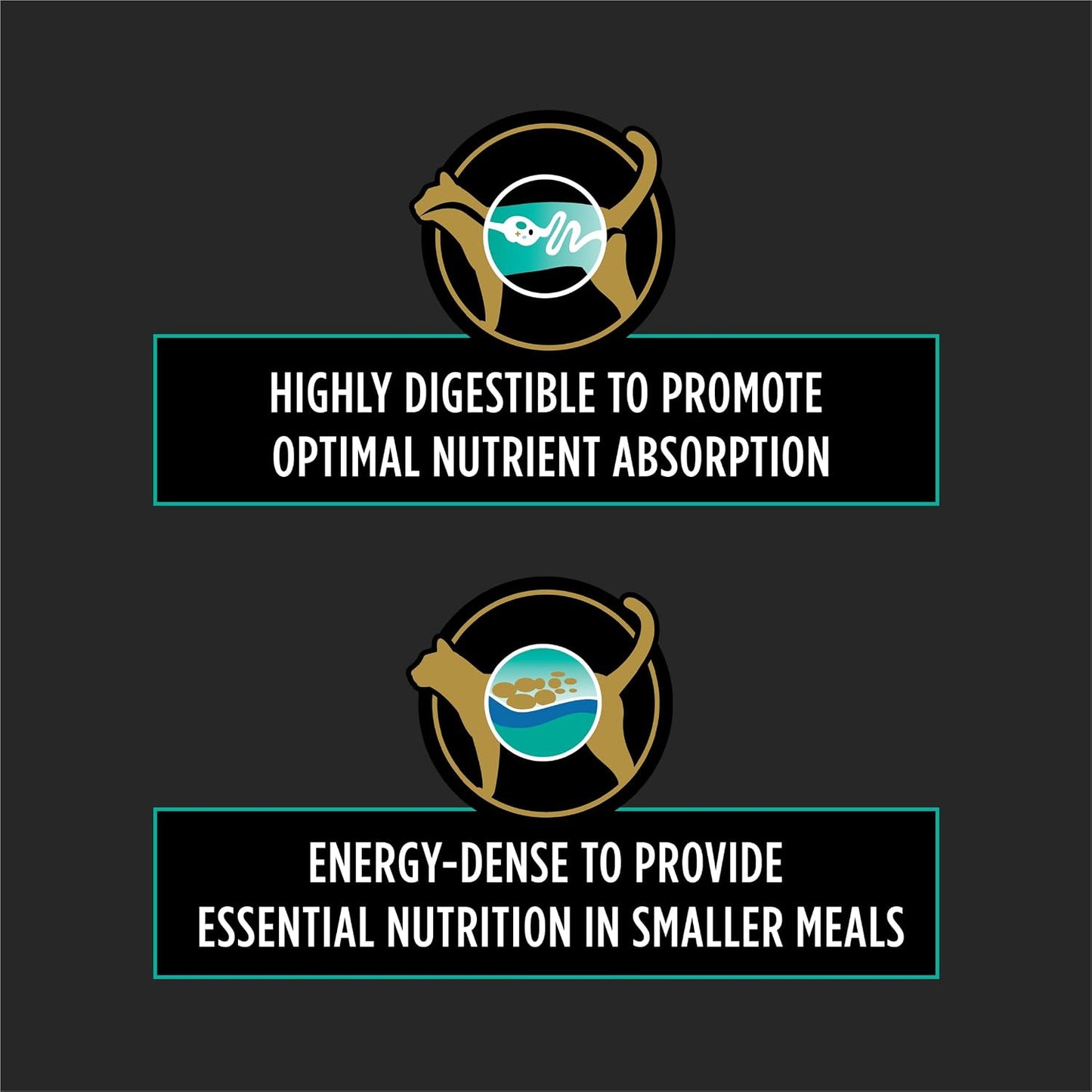 USA imported specialized veterinary wet cat food for digestive health