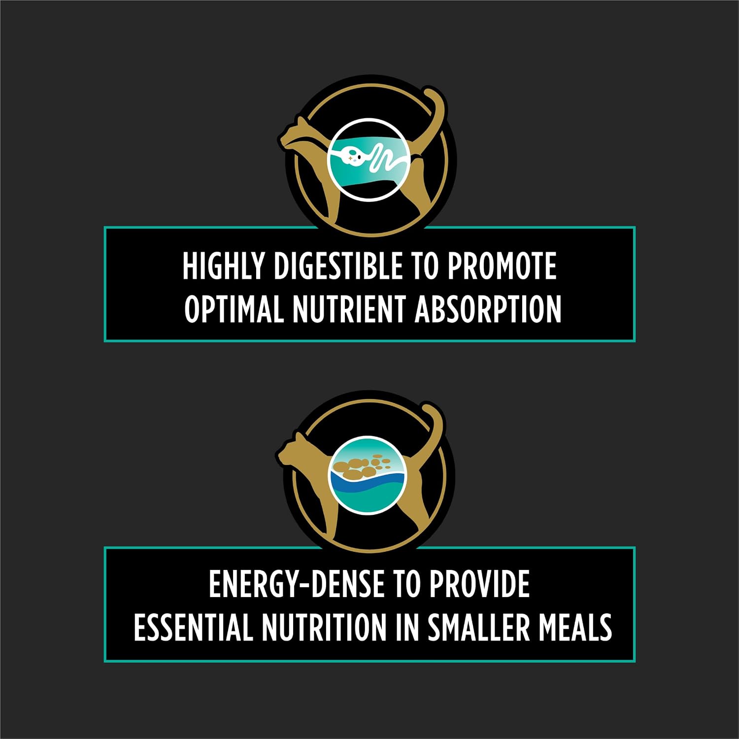 USA imported specialized veterinary wet cat food for digestive health