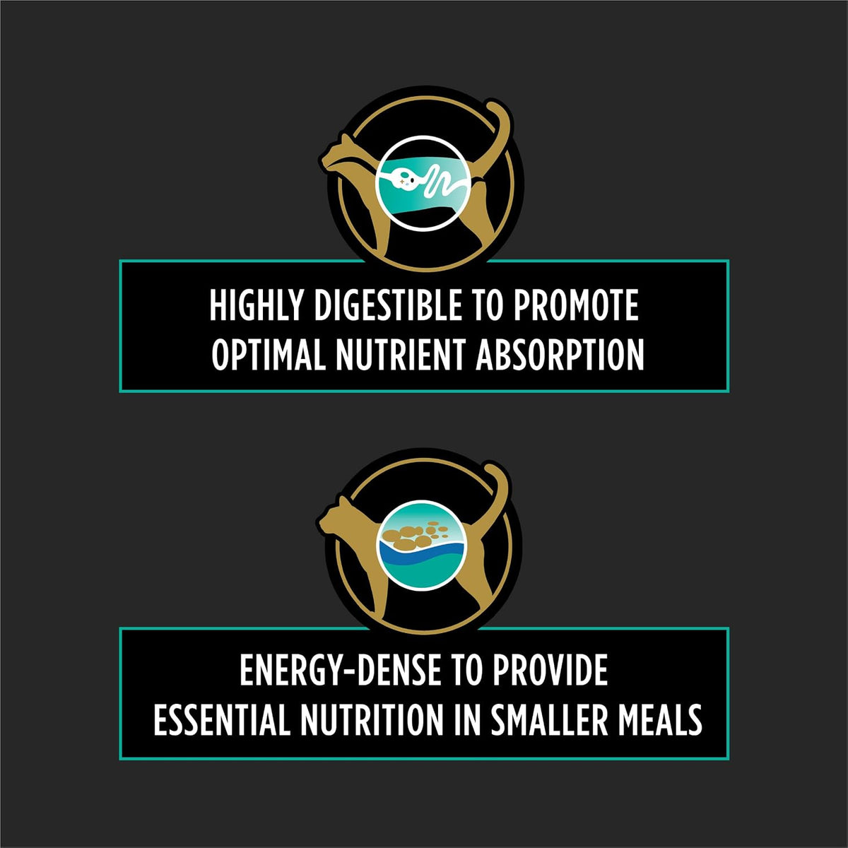 Pro Plan Veterinary Diets EN Gastroenteric wet cat food texture view