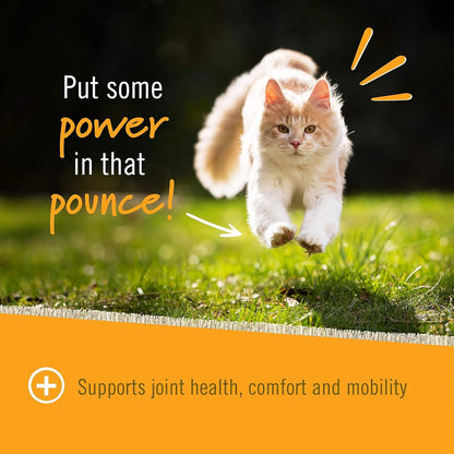 Authentic USA imported Pet Naturals cat joint supplement packaging