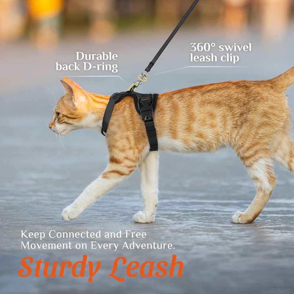 Dooradar heavy duty metal D ring anchor on black cat vest harness