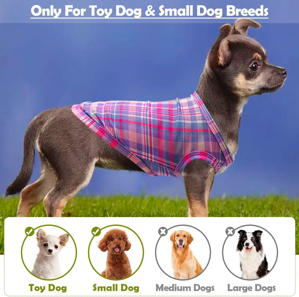 Small dog wearing pink paw print sleeveless vest