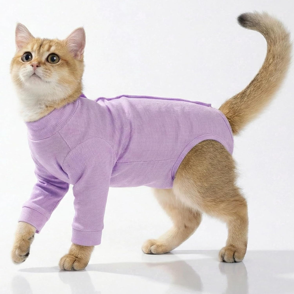 T'CHAQUE Cat Surgery Recovery Suit front view purple