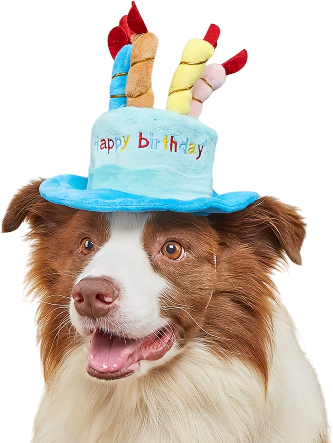 Fanbodta cute pet party hat front view blue cake design