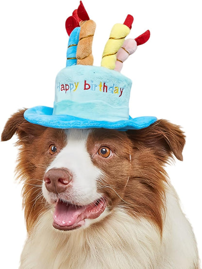 Fanbodta cute pet party hat front view blue cake design