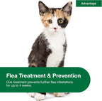 Waterproof spot on flea treatment for kittens eight weeks or older