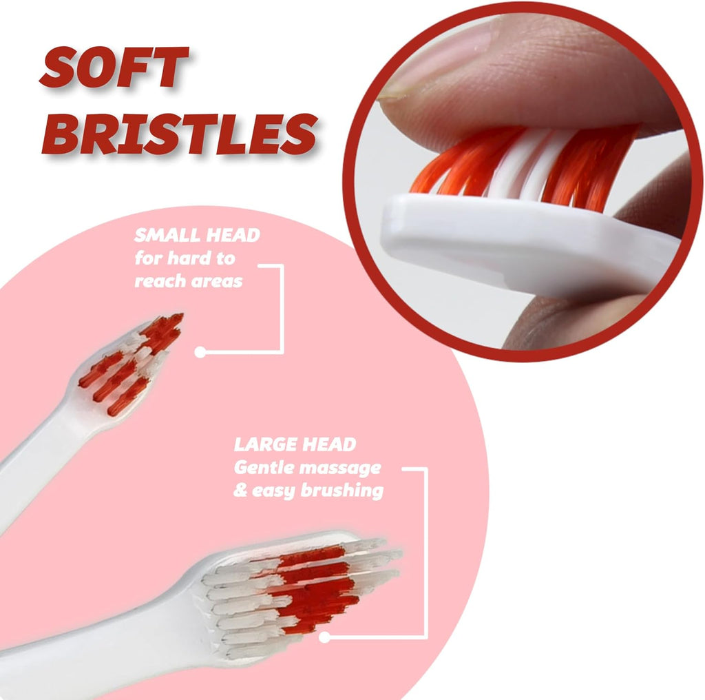 Small and large brush head comparison for cats and dogs