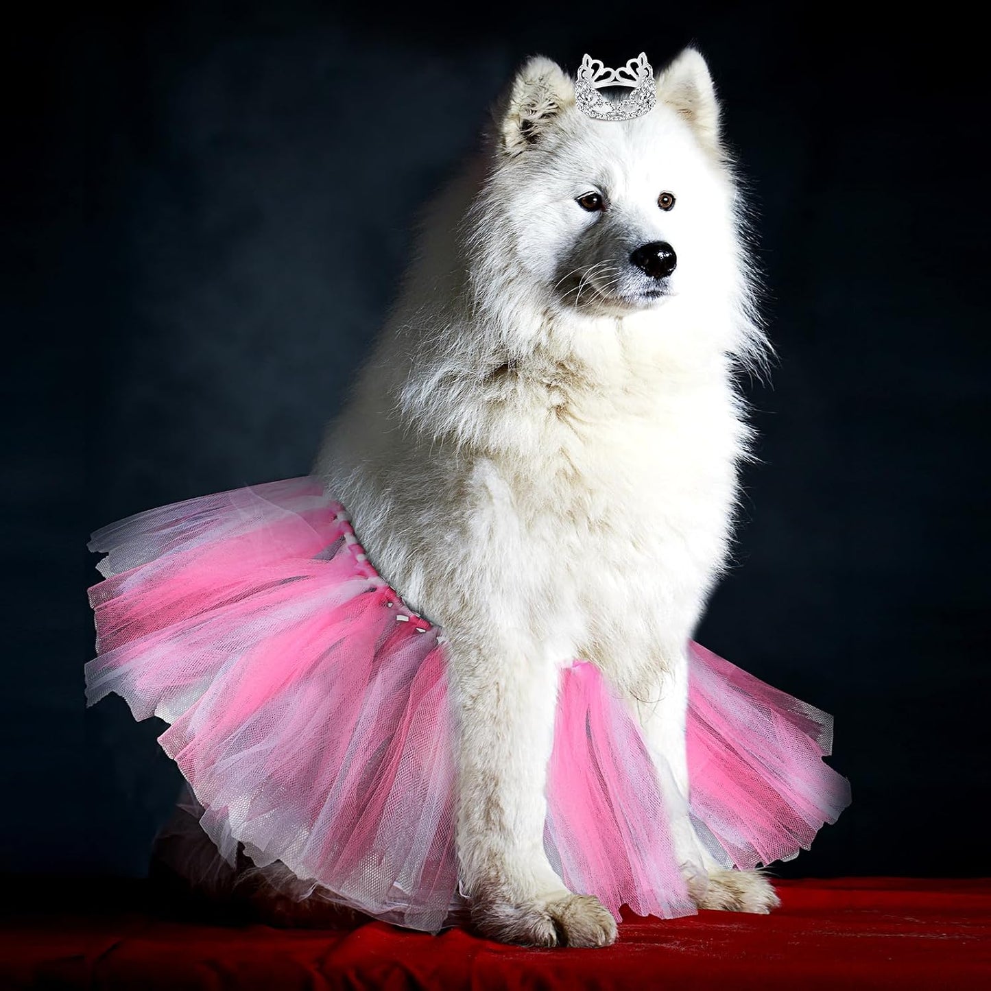 Hillban dog tutu dress elastic waistband flexibility demonstration