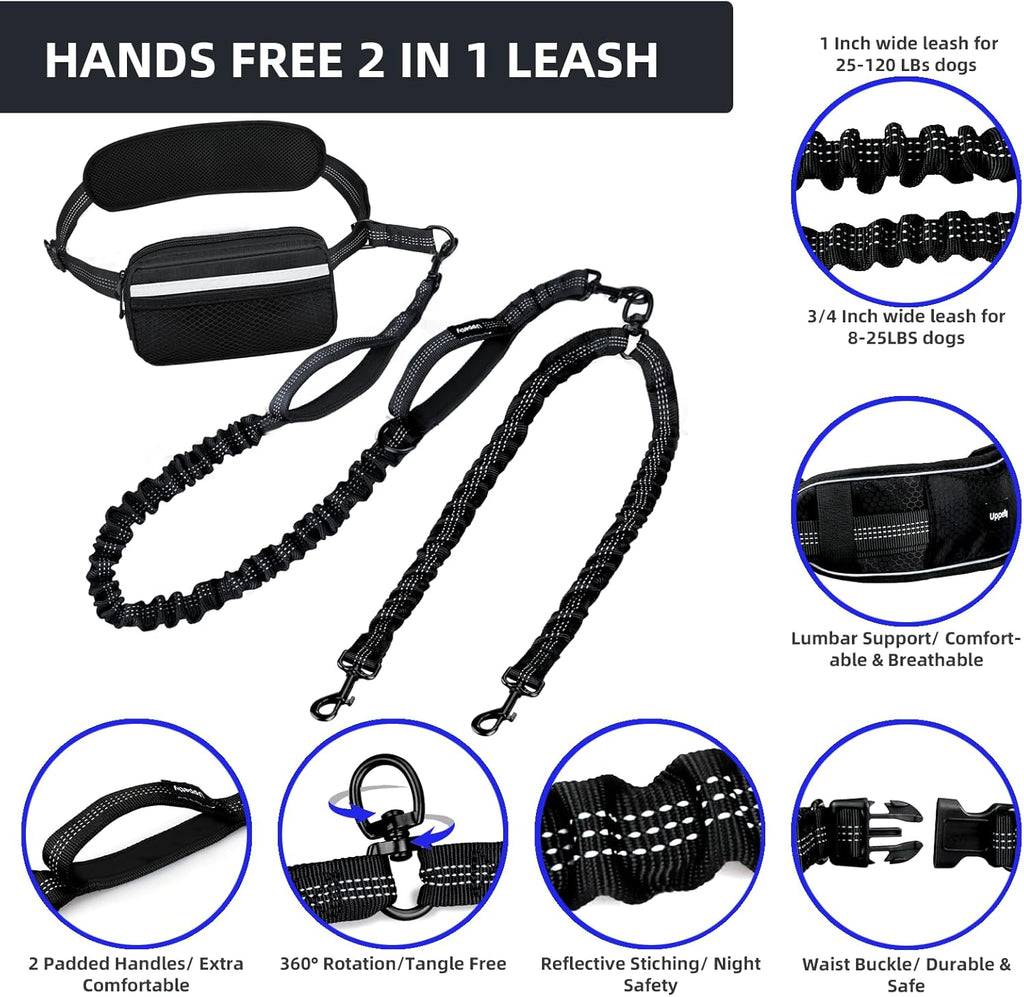Demonstration of the shock absorbing elastic bungee expanding for two medium large dogs.