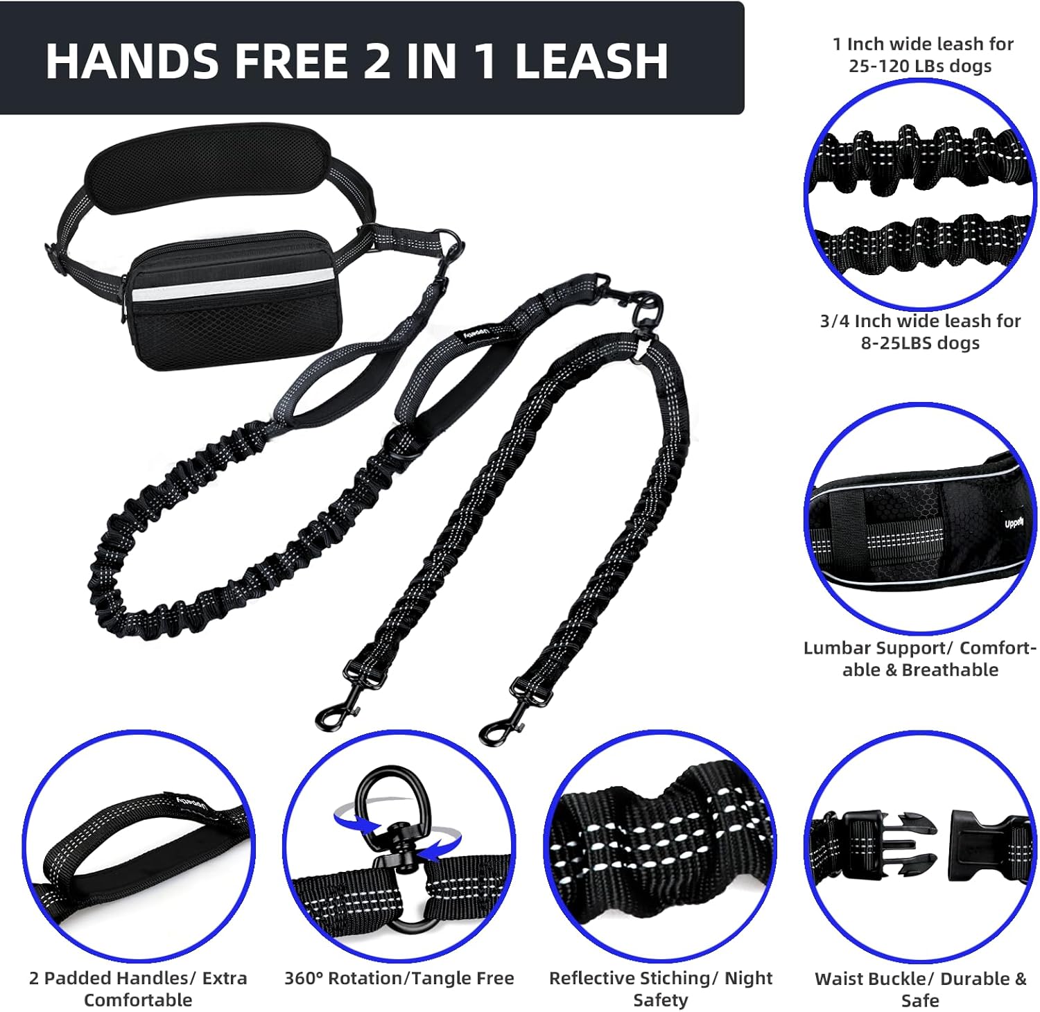 Demonstration of the shock absorbing elastic bungee expanding for two medium large dogs.