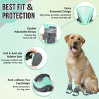 Dog wearing SlowTon non-slip shoes outdoors