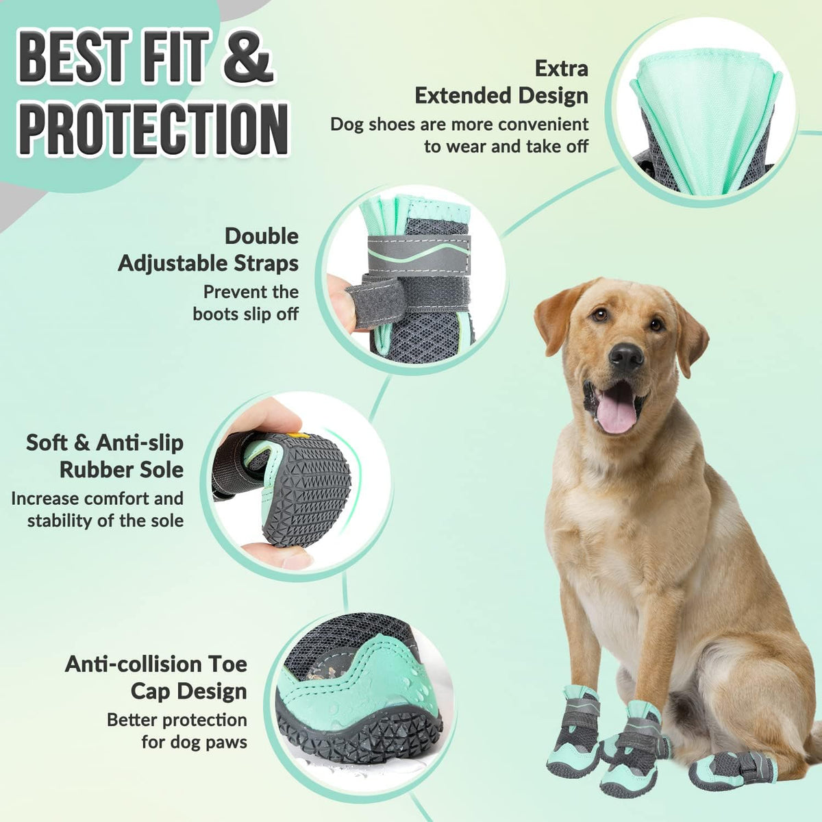 Dog wearing SlowTon non-slip shoes outdoors