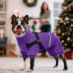 Small dog wearing purple BRKURLEG winter coat