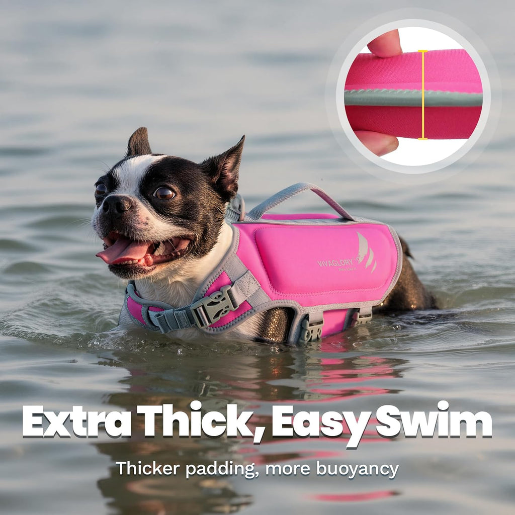 Side view of the premium neoprene pet swimming vest on a medium sized dog.
