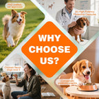 Veterinarian recommended dog gut flora balance chews with pumpkin and inulin ingredients