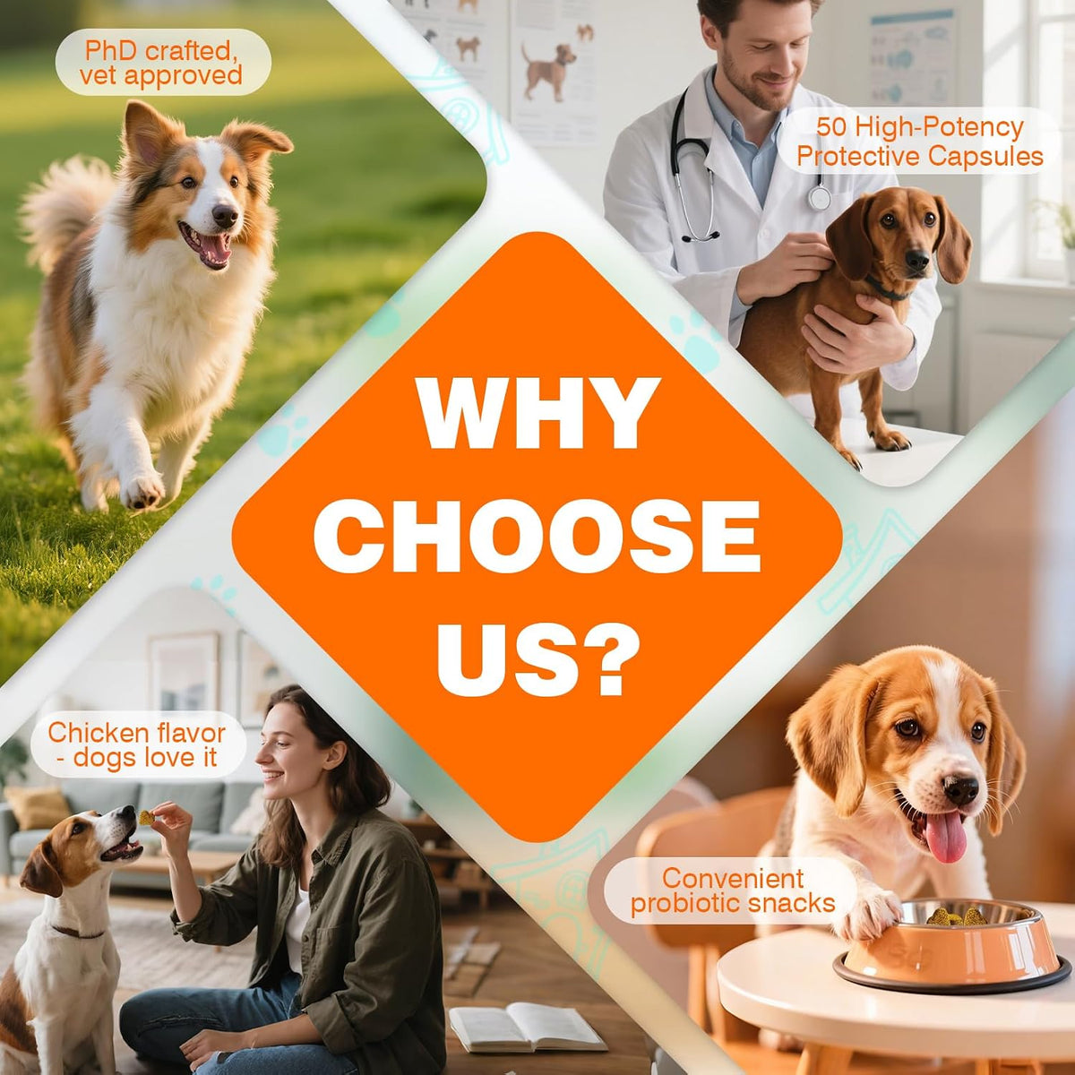 Veterinarian recommended dog gut flora balance chews with pumpkin and inulin ingredients