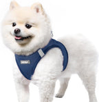 Rabbitgoo Small Dog Harness front view of navy blue step in mesh puppy vest