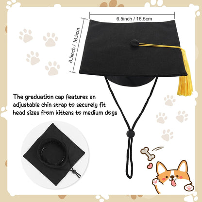 Premium pet graduation cap with secure adjustable chin strap