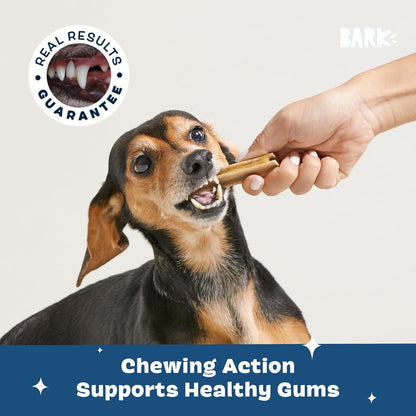 Barkbox Bright dental kit packaging showing 30 count