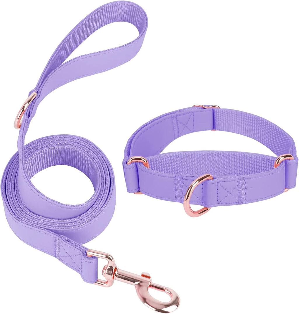 Soft Leather Martingale Dog Collar - Adjustable Rose Gold Limited Slip Collars [Easy to Clean], Stylish Durable Heavy Duty Nylon No Pull Training Collar for Small Medium Large Dogs M Purple - Image 9