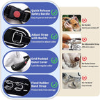 AaufiLux reflective dog collar visibility test