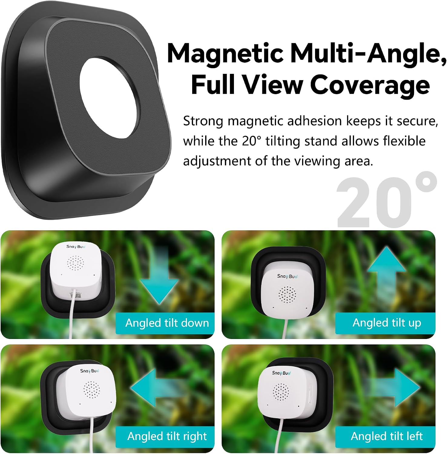 SnapBud pet monitor starlight night vision mode demonstration showing vibrant low-light colors inside a dark terrarium.