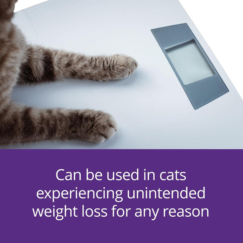 Authentic Mirataz USA imported cat medication