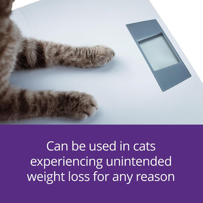 Authentic Mirataz USA imported cat medication