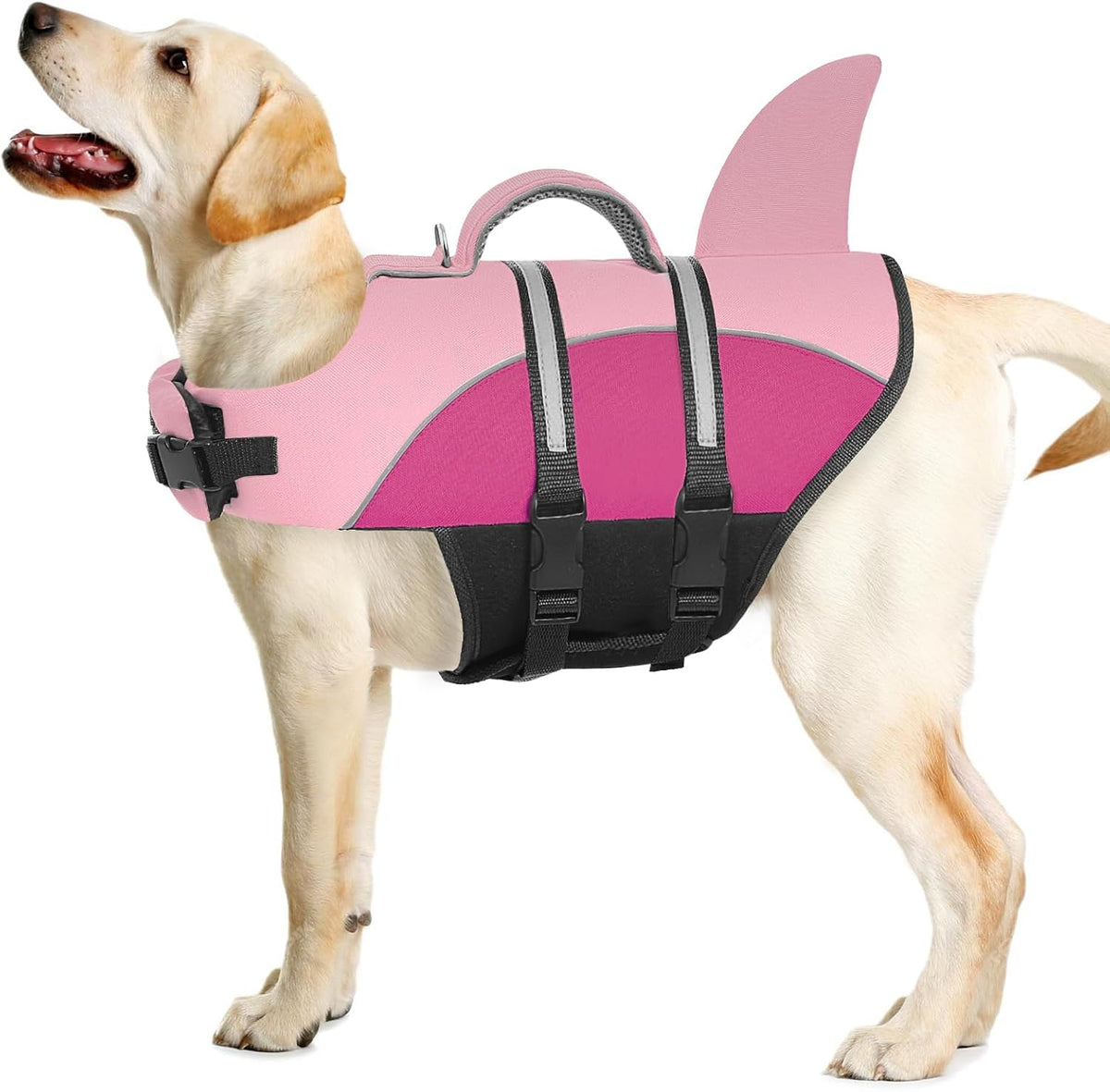 Queenmore Dog Life Jacket Small Dog Life Vest for Swimming Boating in Pool Lake with Shark Fin, Rescue Handle, Leash Hook, Reflective Strip,Light Weight - Image 9