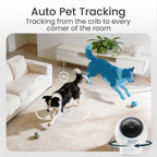 Smartphone app interface displaying Youkey pet camera feed