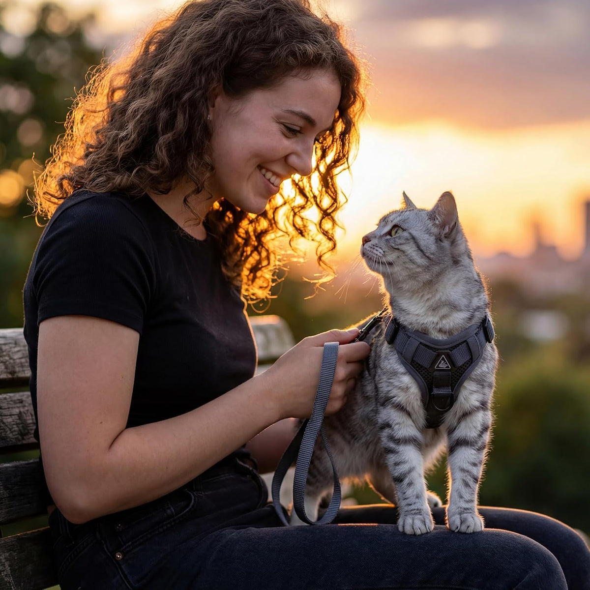 Premium imported Pangdi cat safety vest being adjusted on a pet