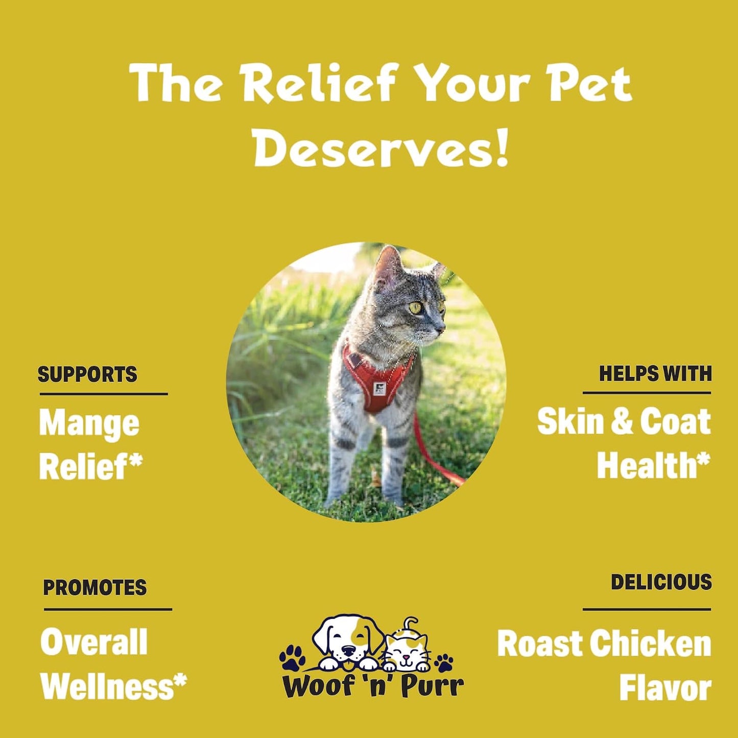 Natural oral drops for cat dandruff and mange relief packaging information.