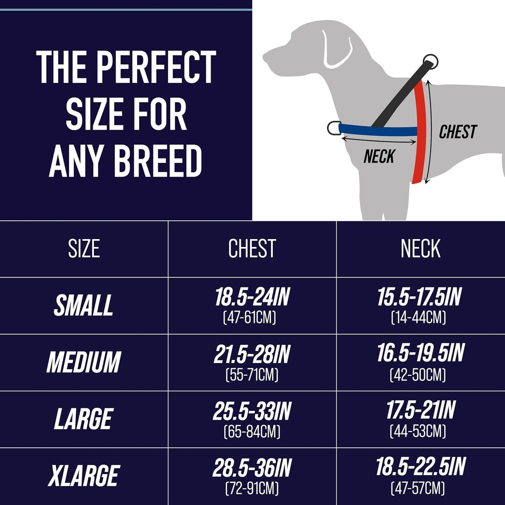 Leash Boss dog harness showing rear bungee attachment