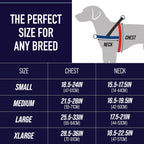 Leash Boss dog harness showing rear bungee attachment