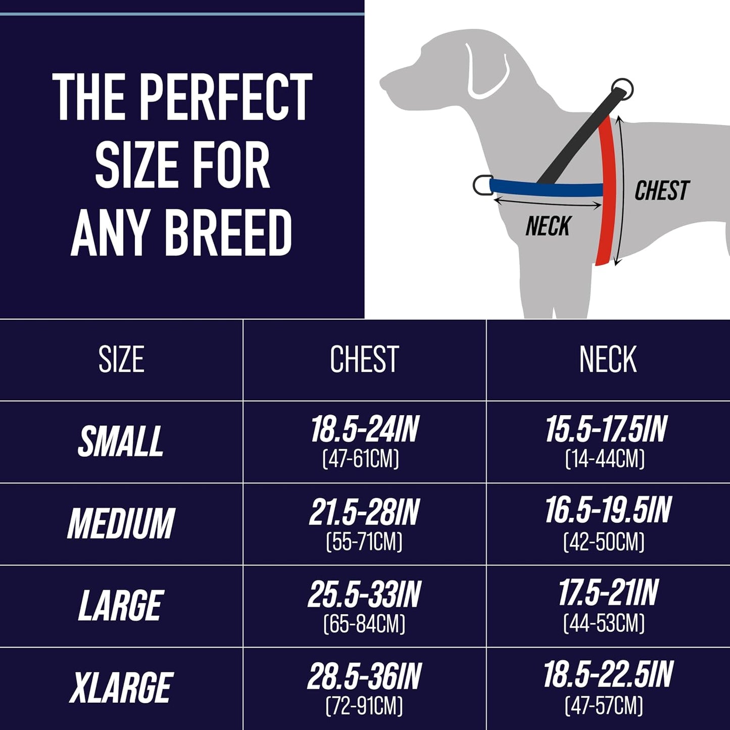 Leash Boss dog harness showing rear bungee attachment