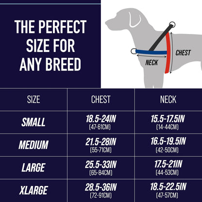 Leash Boss dog harness showing rear bungee attachment