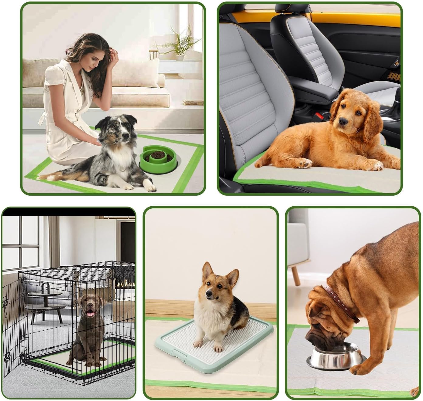 Gardner Pet puppy training pads highly absorbent core demonstration view