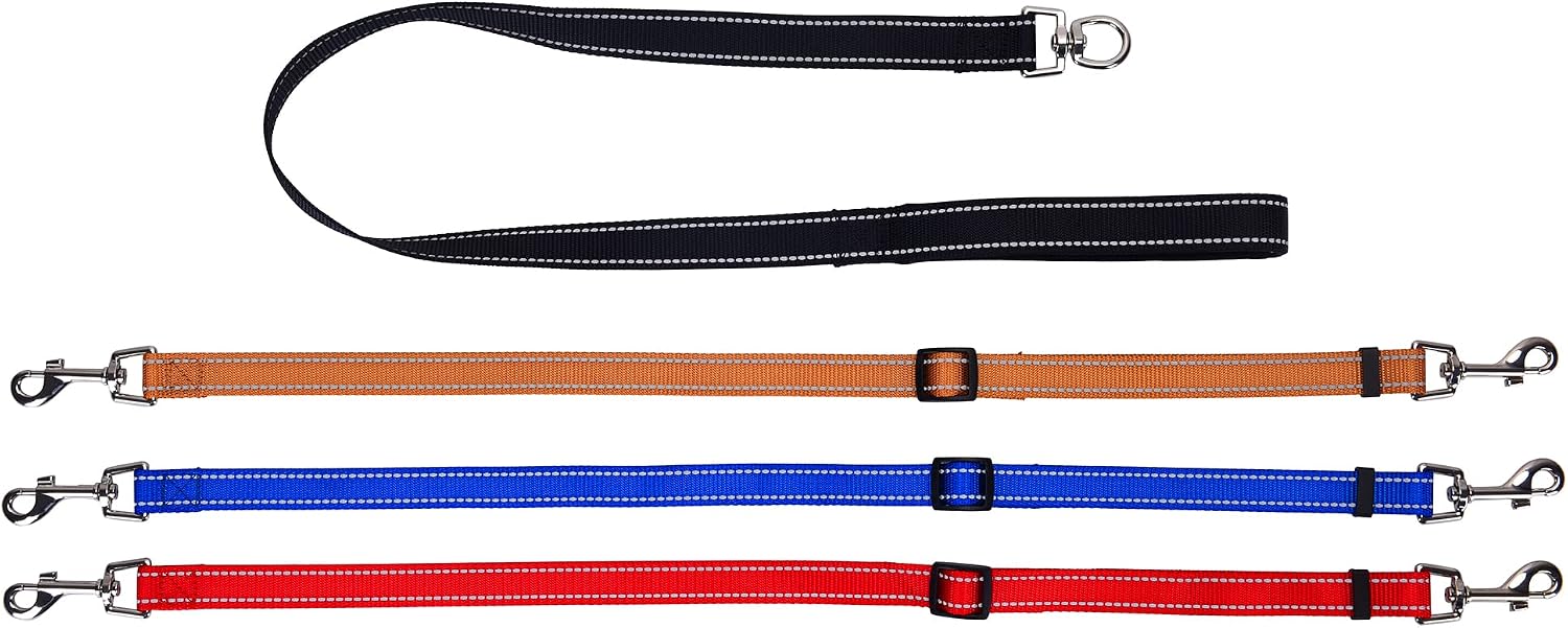 Reflective stitching detail on the MoSANY 3-in-1 dog leash illuminated for night safety.