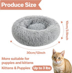 Small kitten sleeping comfortably in Rainflow plush bed
